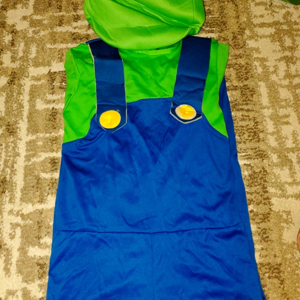 Boys Luigi Costume